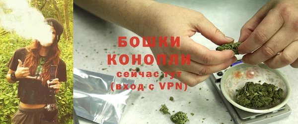 гидра Ахтубинск